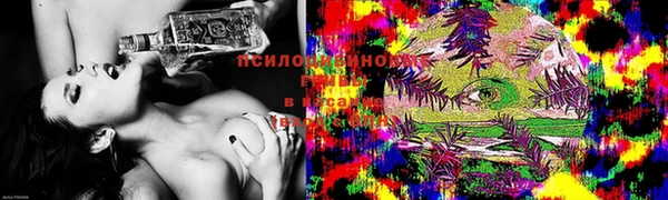 молекула духа Покровск