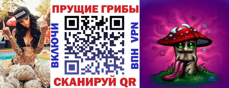 даркнет сайт  Перевоз  даркнет телеграм  Псилоцибиновые грибы Psilocybine cubensis 